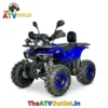 135cc Neoplus ATV Bike 4 Stroke Petrol Engine Automatic Transmission Self Start Remote Start TheATVOutlet.in 14 Blue 135cc Neoplus ATV Bike 4 Stroke Petrol Engine Automatic Quad Bike India